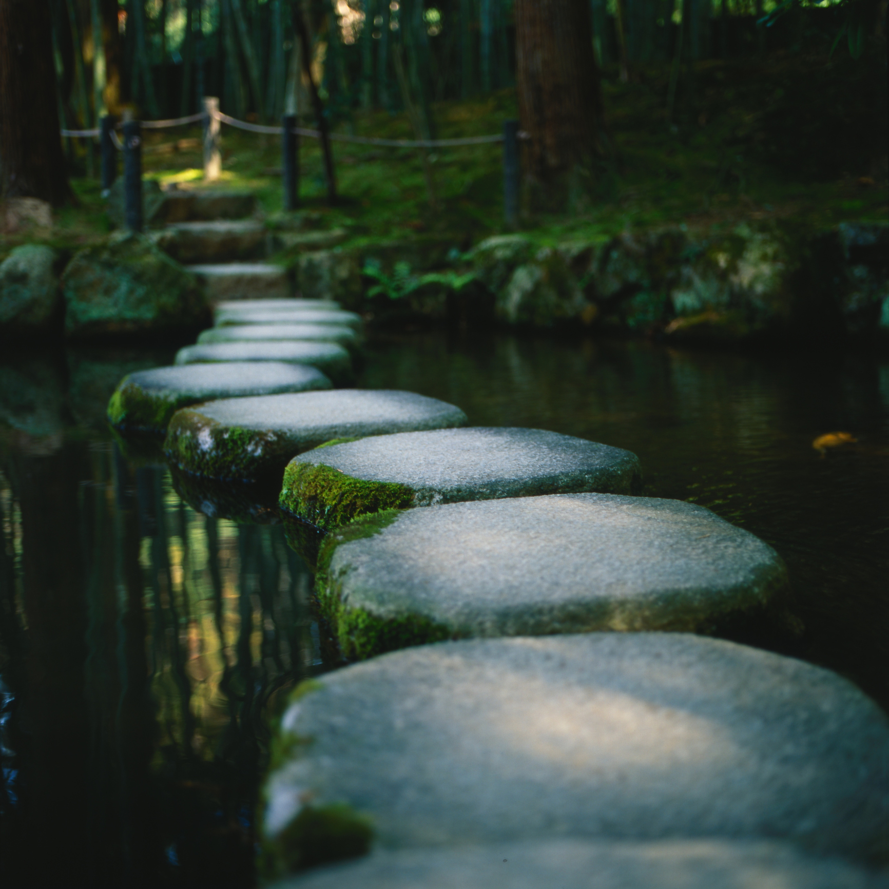 Kyoto, Japan - October 10, 2010: Stepping stones across a pond in a Zen temple garden.